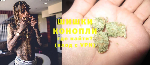 крисы Гусиноозёрск