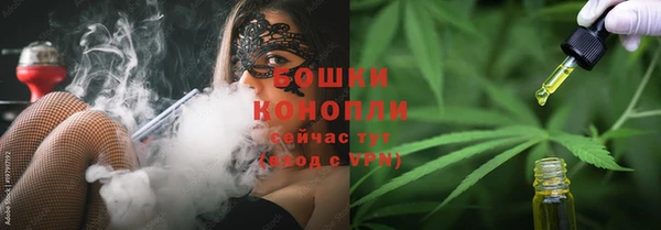 крисы Гусиноозёрск