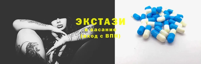 крисы Гусев