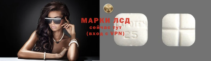 крисы Гусев