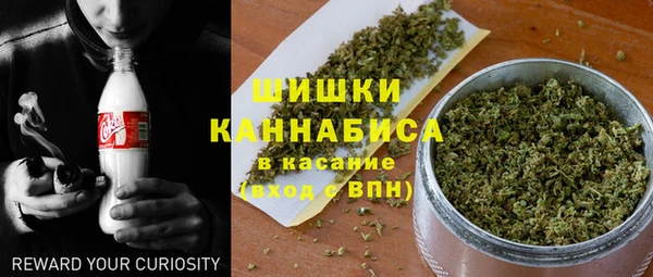 прущие крисы Гусь-Хрустальный