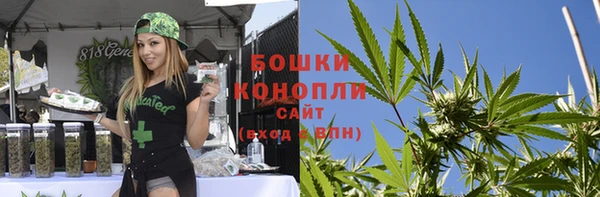 крисы Гусиноозёрск