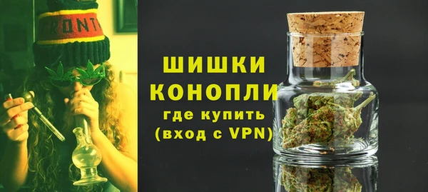 крисы Гусиноозёрск