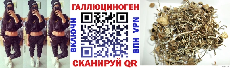 Галлюциногенные грибы MAGIC MUSHROOMS  Купить  Переславль-Залесский 